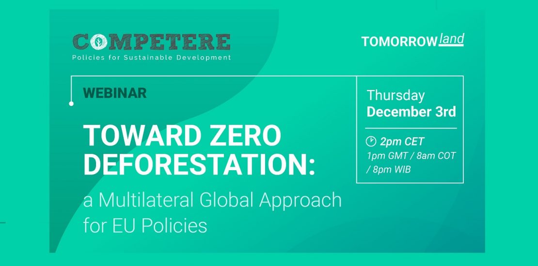 Toward Zero Deforestation 1.12.2020 - Copia (2)