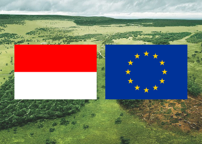 Deforestazione: la best practice dell’Indonesia e le ambiguità europee