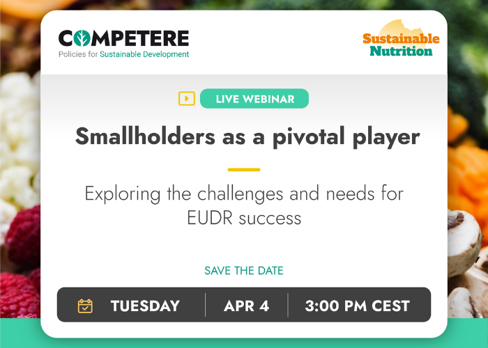 Smallholders as a pivotal player