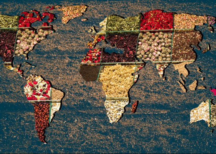 Alimentazione: emergenza geopolitica