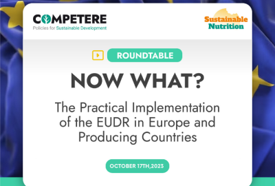 Now what? EUDR implementation - Competere