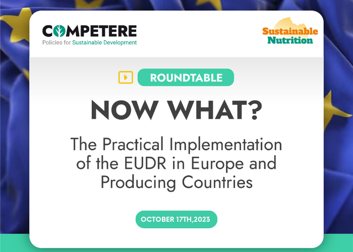 Now what? The practical implementation of the EUDR in Europe and Producing Countries