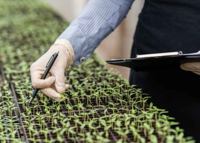 Genomic techniques mark a new era for the agri-food industry