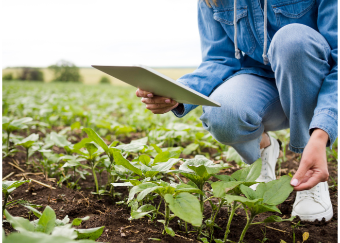 Sustainable agriculture in the EU