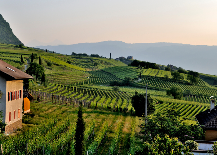 Un Europe day per l'agroalimentare